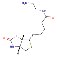 CAS: 111790-37-5 | OR54472 | N-(2-Aminoethyl)biotinamide