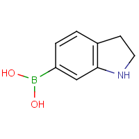 CAS:1253912-15-0 | OR54681 | Indolin-6-ylboronic acid