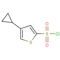CAS: 2407349-23-7 | OR54824 | 4-Cyclopropylthiophene-2-sulfonyl chloride