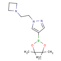 CAS: 1422126-12-2 | OR55283 | 1-[2-(Azetidin-1-yl)ethyl]-4-(tetramethyl-1,3,2-dioxaborolan-2-yl)-1H-pyrazole