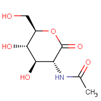 CAS:19026-22-3 | OR5600T | 2-Acetamido-2-deoxy-D-glucono-1,5-lactone
