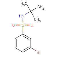 CAS: 308283-47-8 | OR5730 | 3-Bromo-N-(tert-butyl)benzenesulphonamide
