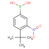 CAS:871329-54-3 | OR5817 | 4-tert-Butyl-3-nitrobenzeneboronic acid