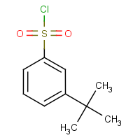 CAS: 2905-26-2 | OR60136 | 3-(tert-Butyl)benzenesulphonyl chloride