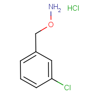 CAS:29605-78-5 | OR6062 | O-(3-Chlorobenzyl)hydroxylamine hydrochloride