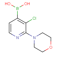 CAS: 957061-04-0 | OR6094 | 3-Chloro-2-(morpholin-4-yl)pyridine-4-boronic acid