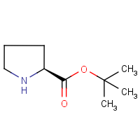 CAS: 2812-46-6 | OR61281 | tert-Butyl (2S)-pyrrolidine-2-carboxylate