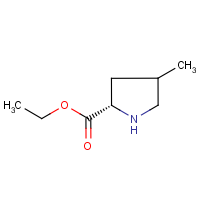 CAS: 1338218-66-8 | OR61345 | Ethyl (2S)-4-methylpyrrolidine-2-carboxylate