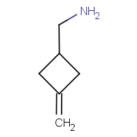 CAS: 16333-93-0 | OR6220 | 1-(Aminomethyl)-3-methylenecyclobutane