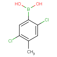 CAS:2246725-44-8 | OR62219 | 2,5-Dichloro-4-methyl-benzeneboronic acid