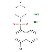 CAS: 355115-40-1 | OR6751T | 1-(8-Chloroisoquinolin-5-ylsulphonyl)piperazine dihydrochloride