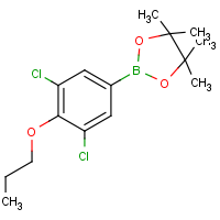CAS:  | OR71007 | 2-(3,5-Dichloro-4-propoxyphenyl)-4,4,5,5-tetramethyl-1,3,2-dioxaborolane