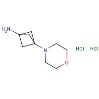 CAS:  | OR71107 | 3-Morpholin-4-ylbicyclo[1.1.1]pentan-1-amine dihydrochloride