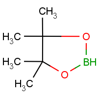CAS: 25015-63-8 | OR7123 | 4,4,5,5-Tetramethyl-1,3,2-dioxaborolane