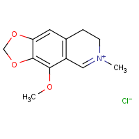CAS: 10018-19-6 | OR7175T | Cotarnine chloride