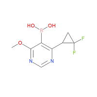 CAS: | OR72206 | [4-(2,2-Difluorocyclopropyl)-6-methoxypyrimidin-5-yl]boronic acid