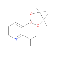 CAS:2096337-14-1 | OR72207 | 2-(Isopropyl)pyridine-3-boronic acid pinacol ester