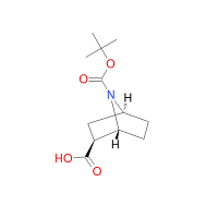 CAS:1260589-42-1 | OR72337 | (1R,2S,4S)-7-(tert-Butoxycarbonyl)-7-azabicyclo[2.2.1]heptane-2-carboxylic acid