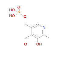 CAS: 54-47-7 | OR72400 | Pyridoxal 5'-phosphate