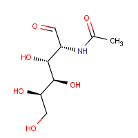 CAS: 1811-31-0 | OR7700T | N-Acetyl-D-galactosamine