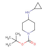 CAS: 179557-01-8 | OR7703 | 4-(Cyclopropylamino)piperidine, N1-BOC protected