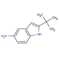CAS: 682357-49-9 | OR7706 | 5-Amino-2-(tert-butyl)-1H-indole