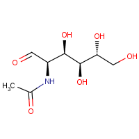 CAS:7512-17-6 | OR7800T | 2-Acetamido-2-deoxy-D-glucose