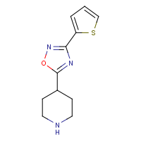 CAS: 244272-35-3 | OR7813 | 4-[3-(Thien-2-yl)-1,2,4-oxadiazol-5-yl]piperidine