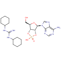 CAS: 634-01-5 | OR8050T | Adenosine-2',3'-cyclic phosphate, dicyclohexyl guanidinium salt