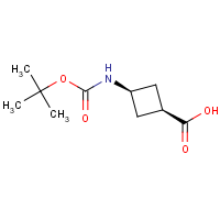 CAS:1008773-79-2 | OR8280 | cis-3-BOC-Aminocyclobutanecarboxylic acid