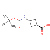 CAS:939400-34-7 | OR8281 | trans-3-BOC-Aminocyclobutanecarboxylic acid