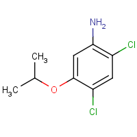 CAS:41200-96-8 | OR8314 | 2,4-Dichloro-5-(2-propyloxy)aniline