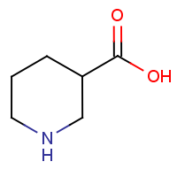 CAS: 498-95-3 | OR8589 | Piperidine-3-carboxylic acid