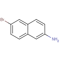 CAS:7499-66-3 | OR8620 | 2-Amino-6-bromonaphthalene