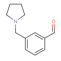 CAS:884507-42-0 | OR8677 | 3-[(Pyrrolidin-1-yl)methyl]benzaldehyde