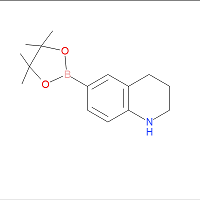 CAS: 1627563-96-5 | OR901143 | 1,2,3,4-Tetrahydroquinoline-6-boronic acid, pinacol ester