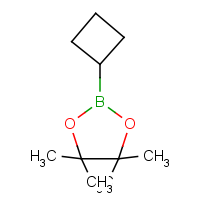 CAS: 1360914-08-4 | OR901542 | 2-Cyclobutyl-4,4,5,5-tetramethyl-1,3,2-dioxaborolane