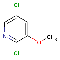 CAS: 1214366-19-4 | OR901752 | 2,5-Dichloro-3-methoxypyridine