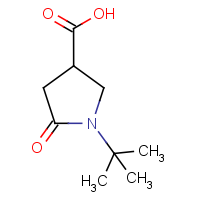 CAS: 773865-05-7 | OR902496 | 1-tert-Butyl-5-oxopyrrolidine-3-carboxylic acid