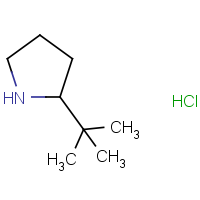 CAS: 558478-78-7 | OR904587 | 2-tert-Butylpyrrolidine hydrochloride
