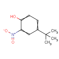 CAS: 3279-07-0 | OR905846 | 4-tert-Butyl-2-nitrophenol