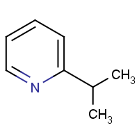 CAS: 644-98-4 | OR906620 | 2-Isopropylpyridine