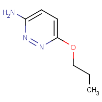 CAS:90008-50-7 | OR906932 | 6-Propoxypyridazin-3-amine