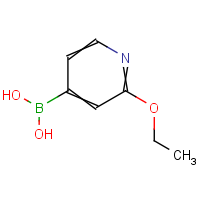 CAS: 1072946-58-7 | OR906934 | 2-Ethoxypyridine-4-boronic acid