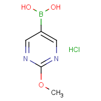 CAS:2096331-88-1 | OR907433 | 2-Methoxypyrimidine-5-boronic acid hydrochloride