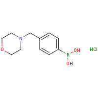 CAS:1335234-36-0 | OR907494 | 4-(Morpholinomethyl)phenylboronic acid,