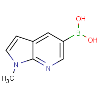CAS: 1260536-49-9 | OR907509 | (1-Methyl-1H-pyrrolo[2,3-b]pyridin-5-yl)boronic acid