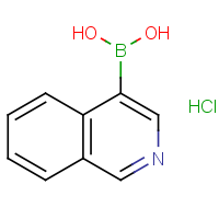 CAS: 677702-23-7 | OR908294 | Isoquinolin-4-ylboronic acid, hydrochloride