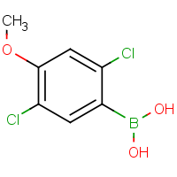 CAS:1612184-34-5 | OR908342 | 2,5-Dichloro-4-methoxyphenylboronic acid