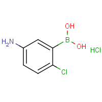 CAS:2096340-32-6 | OR908424 | 5-Amino-2-chlorophenylboronic acid, hydrochloride